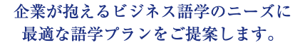 企業が抱えるビジネス語学のニーズに 最適な語学プランをご提案します。